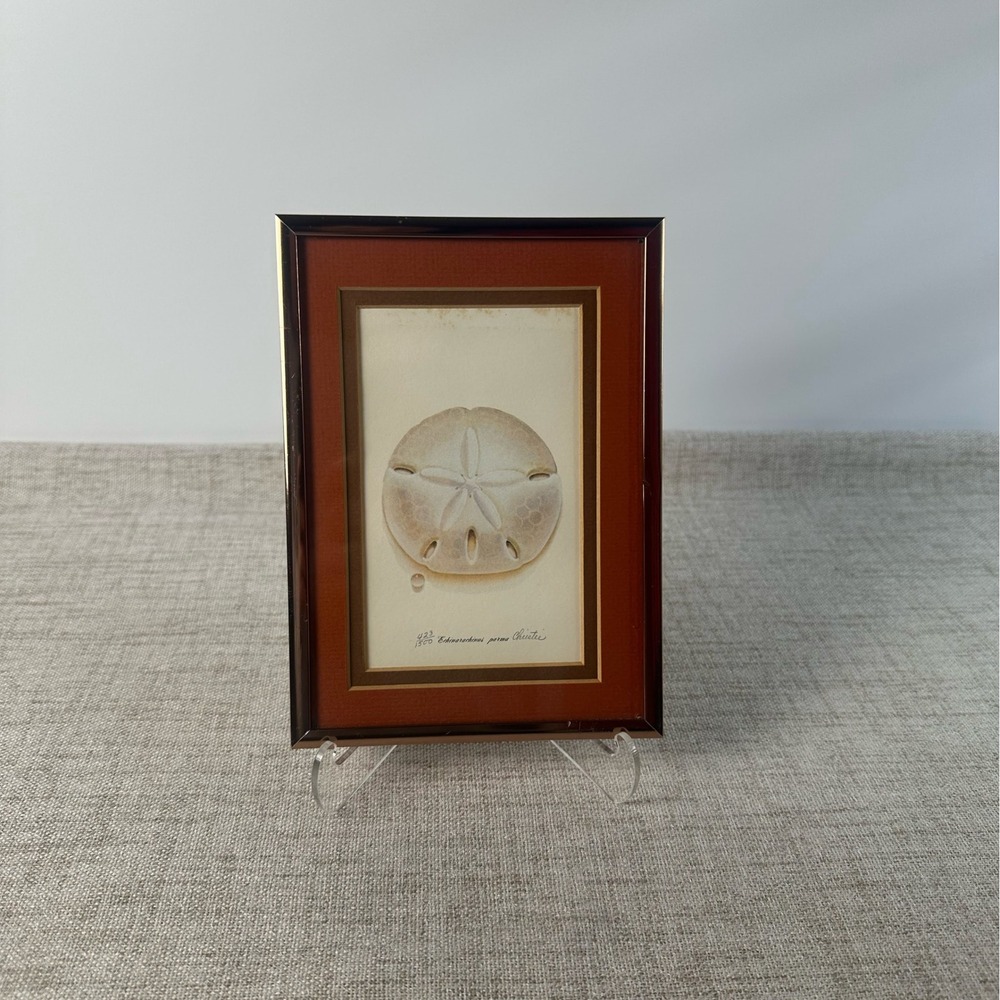 Vintage Framed Sand Dollar Signed Numbered Print Echinarachnius Parma Coastal